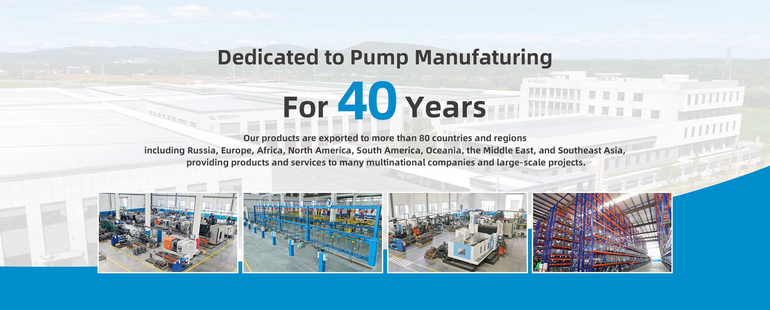 Stainless Steel Self-Priming Pump Services