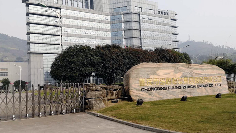 chongqing fuling grupo mostarda limitada pela share ltd